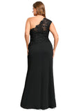 Lorena Sheath/Column One Shoulder Floor-Length Lace Jersey Evening Dress With Pleated STIP0020884