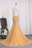 2024 Sexy Open Back Mermaid Tulle Prom Dresses Spaghetti P4HEJ563