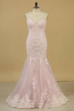 2024 Sweetheart Evening Dresses Mermaid/Trumpet With Applique PG4X2298