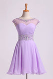 2024 Homecoming Dresses Scoop A Line Beaded Neckline&Waistline Short/Mini P3J7YL7H