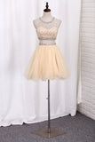 2024 Homecoming Dresses Scoop A-Line Beaded Bodice P93AXD5L