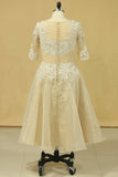 2024 Wedding Dresses A Line V Neck Half Sleeves Plus Size With Applique & PXA1MQ4K