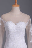 2024 Wedding Dresses Mermaid Scoop Long Sleeves Tulle With Applique PLHMP64G