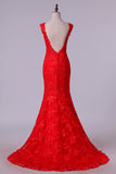 2024 V-Neck Tulle Evening Dresses Mermaid With Applique PS3SES4D