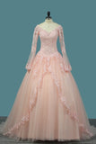 2024 V Neck Quinceanera Dresses Ball Gown Long Sleeves Tulle PZNRP2BC