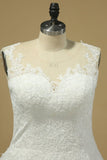 2024 Wedding Dresses A Line V Neck With Applique P31BG4Q4