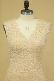 2024 Champagne V-Neck Wedding Dresses A Line Court Train With P6H7DA9C