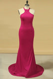 2024 Mermaid Scoop Spandex Evening Dresses P8K6SXX9