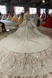 2024 Silver Wedding Dresses Ball Gown Long Sleeves Royal Train Top Quality Lace P3JMLBXD