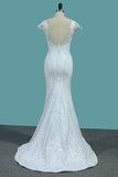 2024 Wedding Dresses Spandex Bateau Cap Sleeve With Applique And Beads PS1F53ZR