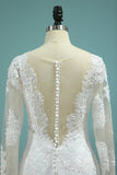 2024 Wedding Dresses Long Sleeves V Neck Mermaid Tulle PMPQ5MZF