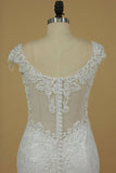 2024 Wedding Dresses Off The Shoulder With Applique And P5GZTJEC