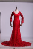 2024 V-Neck Evening Dresses Mermaid With Applique Lace PZ14ZDYZ