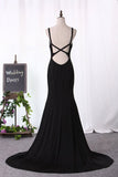 2024 Mermaid Evening Dresses Spaghetti Straps Open Back Spandex PYR8AE1Z