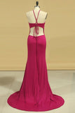 2024 Mermaid Scoop Spandex Evening Dresses P8K6SXX9