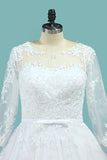 2024 Bateau Wedding Dresses Long Sleeves A Line Court Train Tulle P1C9M3DT