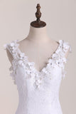 2024 Graceful Lace Wedding Dress V Neck Backless A Line With PPTAE7JR