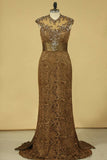 2024 Brown High Neck Evening Dresses Column With Beading Lace Sweep PD5ZKF4F