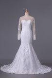 2024 Wedding Dresses Mermaid Scoop Long Sleeves Tulle With Applique PLHMP64G