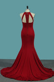 2024 Open Back Scoop Spandex Mermaid Evening Dresses PQAM9M2N