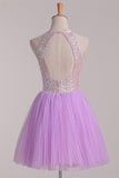 2024 Homecoming Dresses Open Back Scoop Sequined Bodice Tulle P4RC9S5L