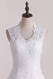 2024 Wedding Dress A Line V-Neck Lace And Tulle With Applique P8AS6HLL