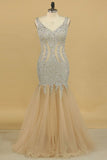 2024 V Neck Prom Dresses Open Back Beaded Bodice Mermaid Tulle PBCKMS1Z