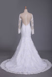 2024 Wedding Dresses Mermaid Scoop Long Sleeves Tulle With Applique PLHMP64G