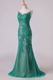 2024 Mermaid Scoop Floor Length Evening Dresses Tulle With PQC3HM45