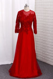 2024 Prom Dresses A Line Scoop 3/4 Length Sleeves PTG8KRP4