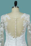 2024 Tulle Wedding Dresses Scoop Long Sleeves A Line With Applique PCFLYTTX